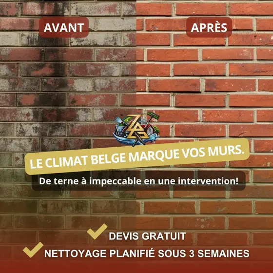 Créa ZAG Clean, Nettoyage