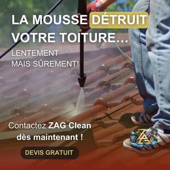 Créa ZAG Clean, Nettoyage